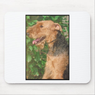 Mousepad Airedale Terrier