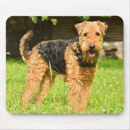 Mousepad Airedale Terrier Puppy Dog