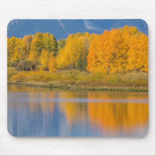 Mousepad Álamos Coloridos de Outono