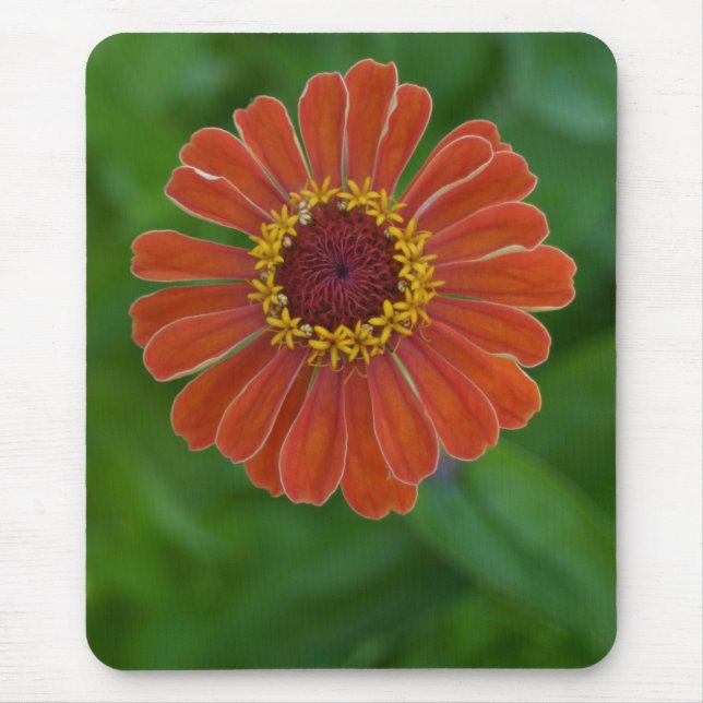 Mousepad alaranjado brilhante da flor da flor do (Frente)