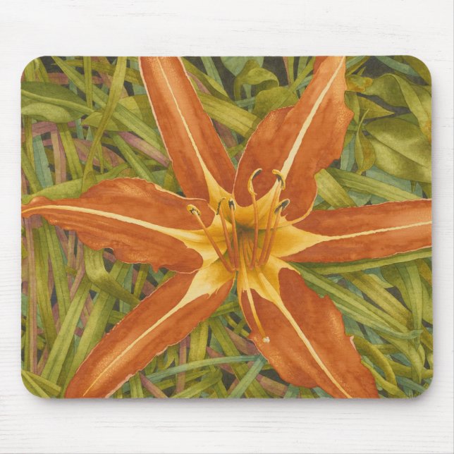 Mousepad alaranjado da nova (Frente)