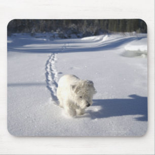 Mousepad Alberta, Canadá