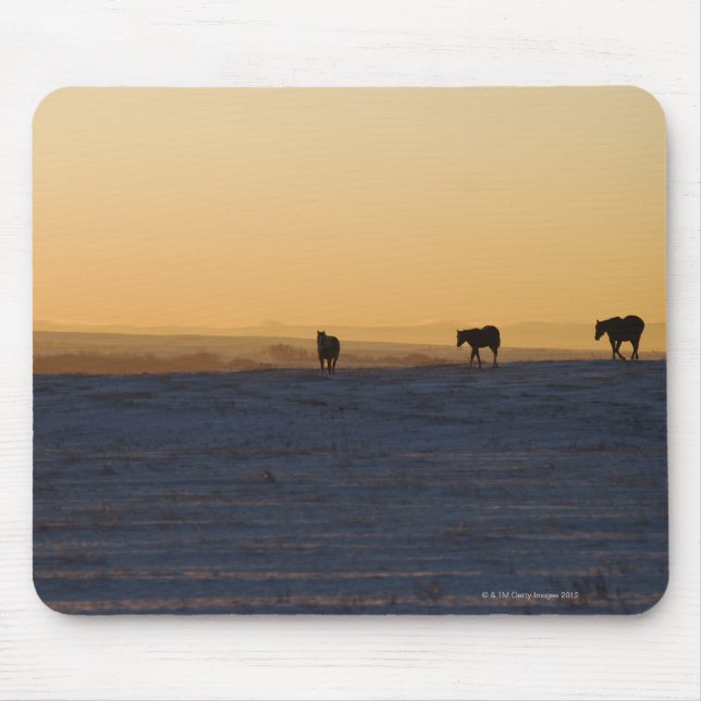 Mousepad Alberta, Canadá 3 (Frente)