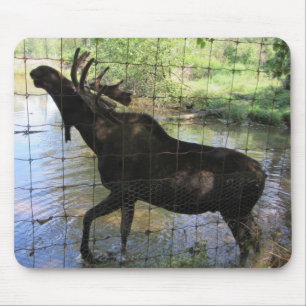 Mousepad Alce