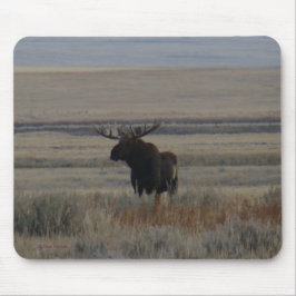 Mousepad Alce M1 Touro