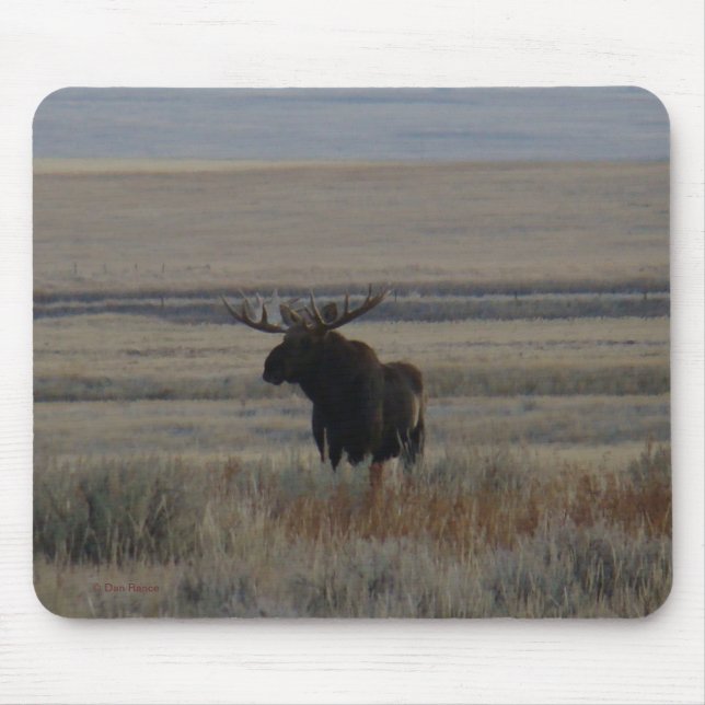 Mousepad Alce M1 Touro (Frente)