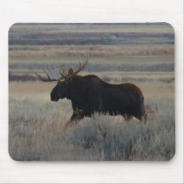 Mousepad alce M2