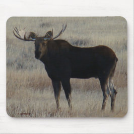 Mousepad Alce M4 Touro