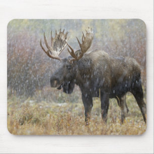 Mousepad Alce macho em tempestade de neve com árvores de ál
