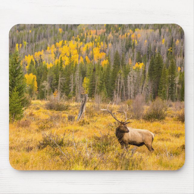 Mousepad Alce macho | Parque Nacional Montanhas Rochosas Co (Frente)