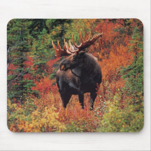 Mousepad alces