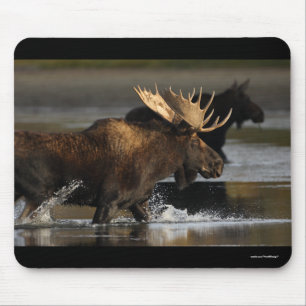 Mousepad Alces