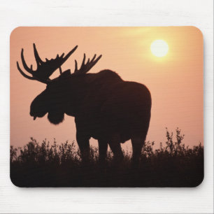 Mousepad alces alces alces, touro com grandes galhadas,