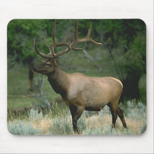 Mousepad Alces bonitos