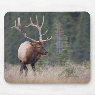 Mousepad Alces da montanha rochosa