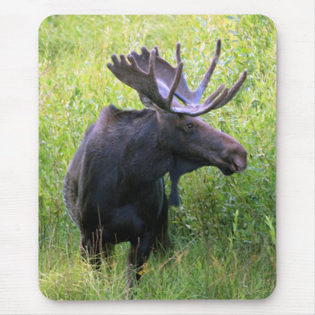 Mousepad Alces de Bull (Frente)