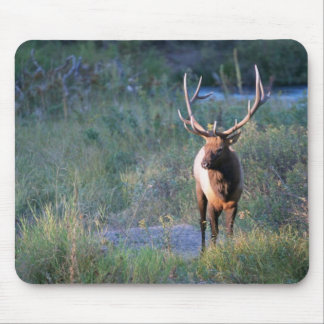 Mousepad Alces de Bull