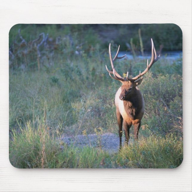 Mousepad Alces de Bull (Frente)