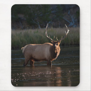 Mousepad Alces de Bull
