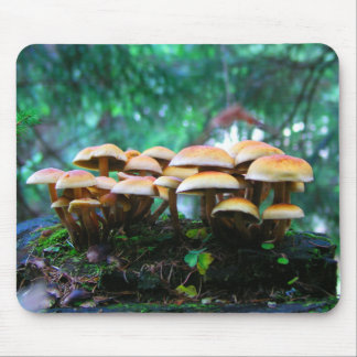 Mousepad aldeia de cogumelos