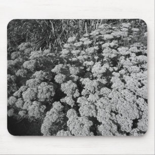 Mousepad Alegria de outono de Sedum (B&W)