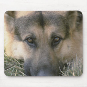 Mousepad Alemão Shepard