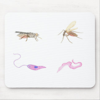 Mousepad Alfombrilla parasitología / Parasitology mat