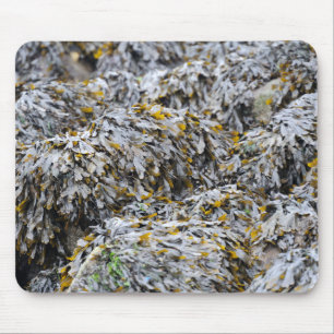 Mousepad Algas