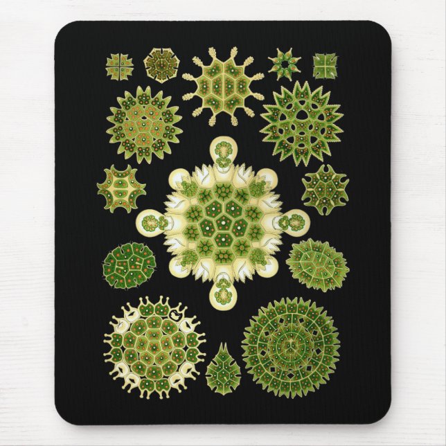Mousepad Algas verdes (Frente)