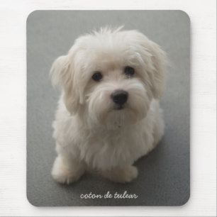 Mousepad Algodão de Tulear