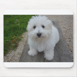 Mousepad algodão de tulear no banco
