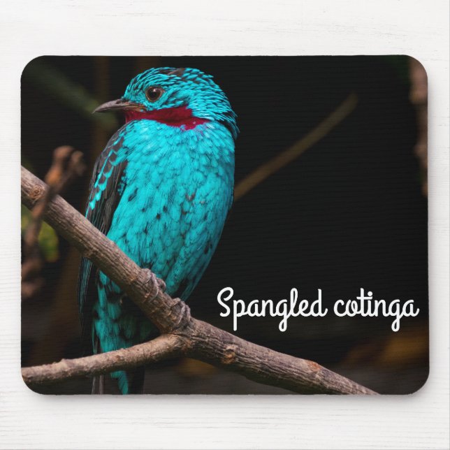 Mousepad Algodão giro (Frente)