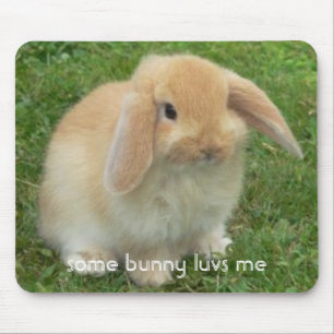Mousepad alguns luvs do coelho mim
