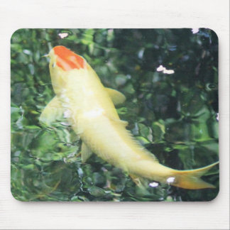 Mousepad Alimentação de Tancho Koi