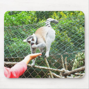 Mousepad Alimentando um lêmur de anel