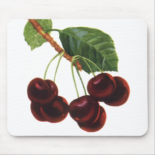 Mousepad Alimentos da fruta do vintage, cerejas maduras de