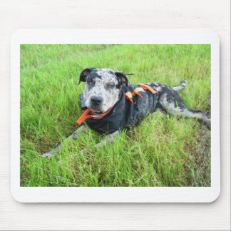 Mousepad alldogscatch