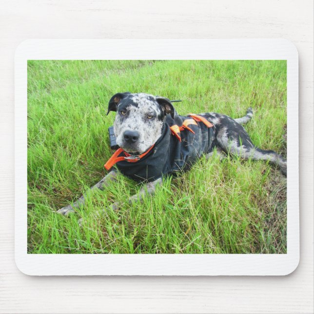 Mousepad alldogscatch (Frente)