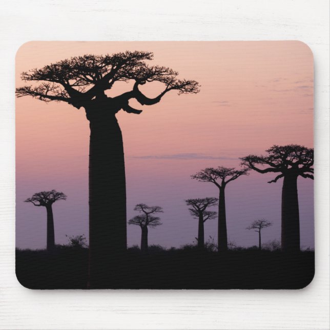 Mousepad Alley dos Baobás, Madagascar, Morondava, África, (Frente)