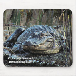 Mousepad Alligador