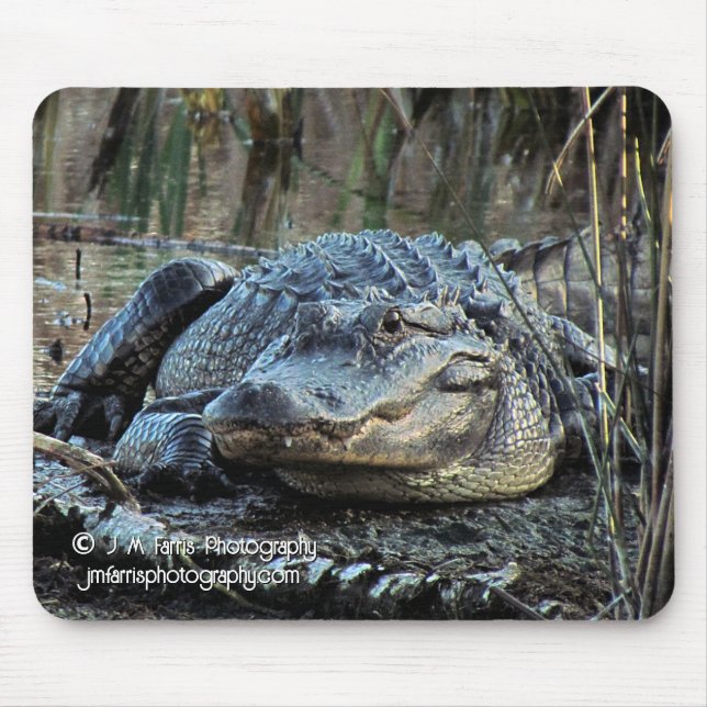 Mousepad Alligador (Frente)