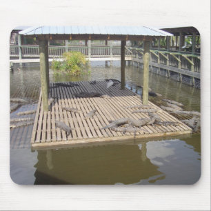 Mousepad Alligadores Deitados No Suporte Do Rato Solar