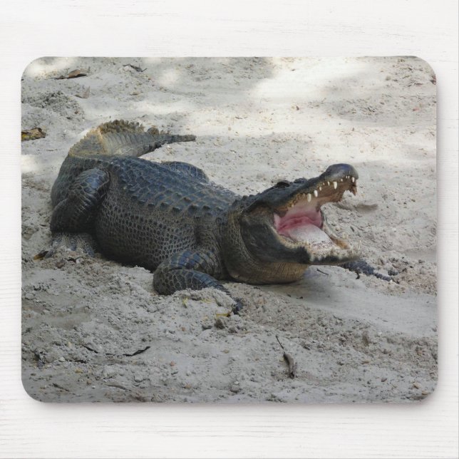 Mousepad Alligator, Fort Lauderdale, Flórida (Frente)