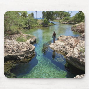 Mousepad Alligator Hole, Black River Town, Jamaica