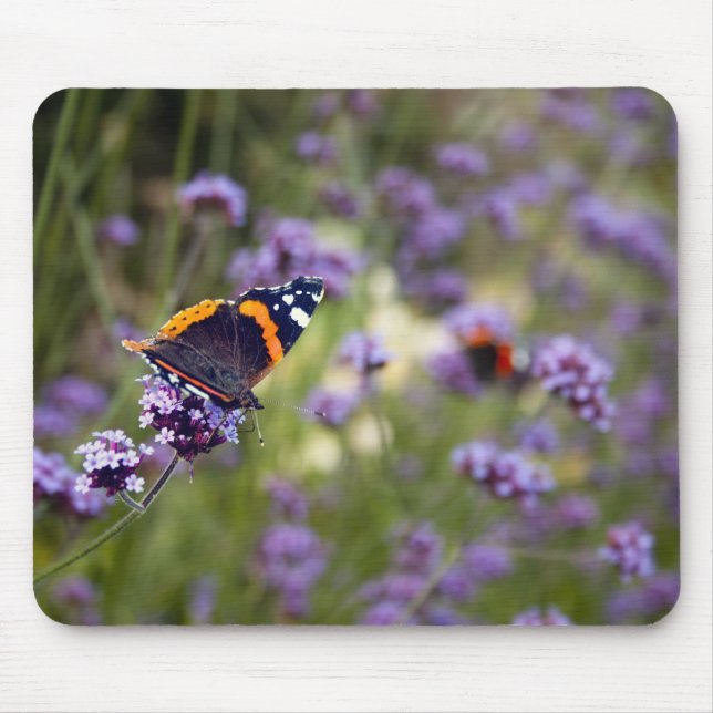 Mousepad Almirante vermelho borboleta (Frente)