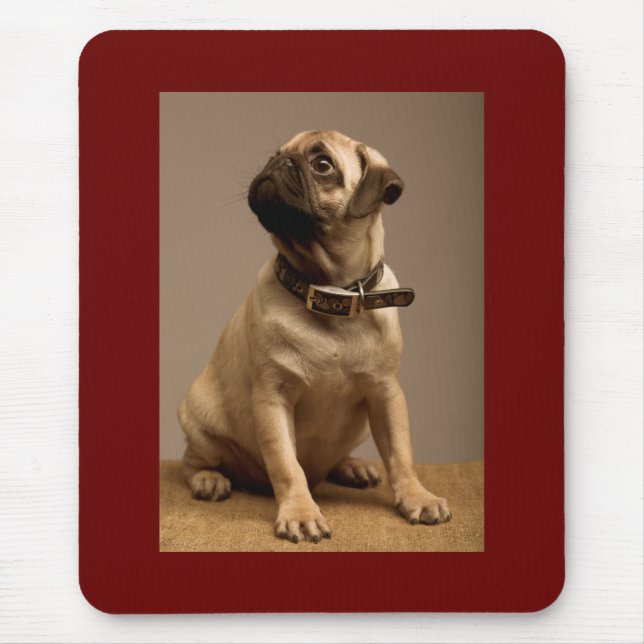 Mousepad Almofada de Rato de Cachorro Pug Marrom Amor (Frente)