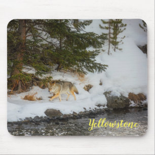 Mousepad Almofada de Rato-Yellowstone Coyote