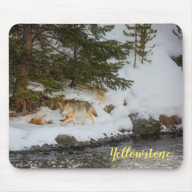 Mousepad Almofada de Rato-Yellowstone Coyote (Frente)
