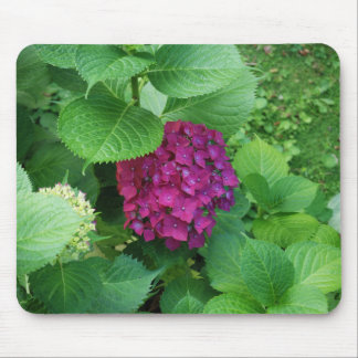 Mousepad Almofada do Hortensia