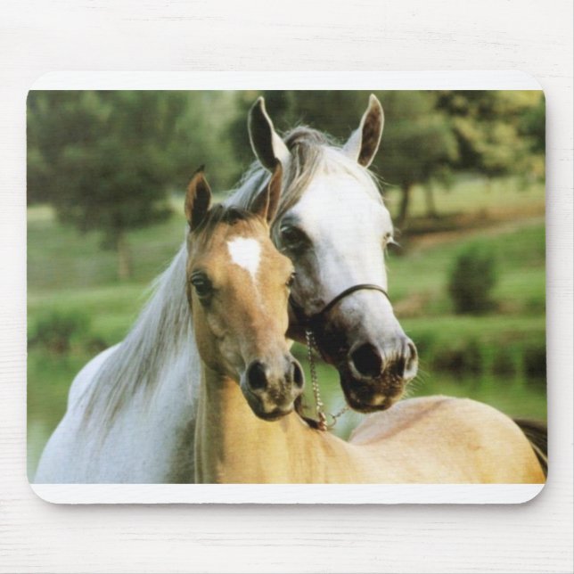 Mousepad Almofada do pônei (Frente)